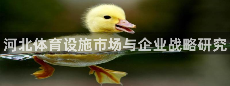 意昂体育4招商电话号码是多少号：河北体育设施市场与企