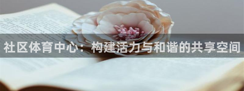 意昂4科技：社区体育中心：构建活力与和谐的共享空间