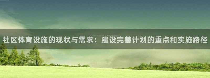 意昂4代理：社区体育设施的现状与需求：建设完善计划的重点和实
