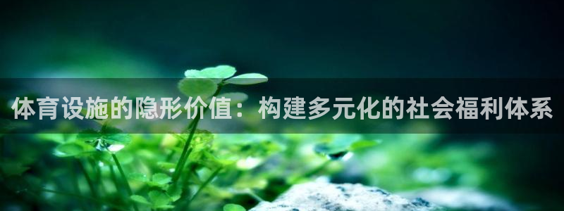 意昂4娱乐网站：体育设施的隐形价值：构建多元化的社会