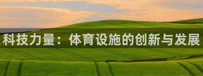 意昂体育4是干嘛的公司：科技力量：体育设施的创新与发