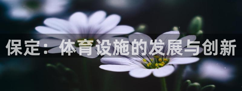 意昂4娱乐下载