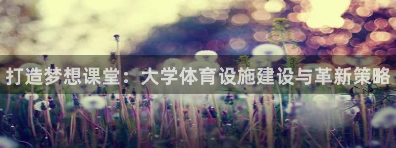 意昂体育4是干嘛的公司：打造梦想课堂：大学体育设施建