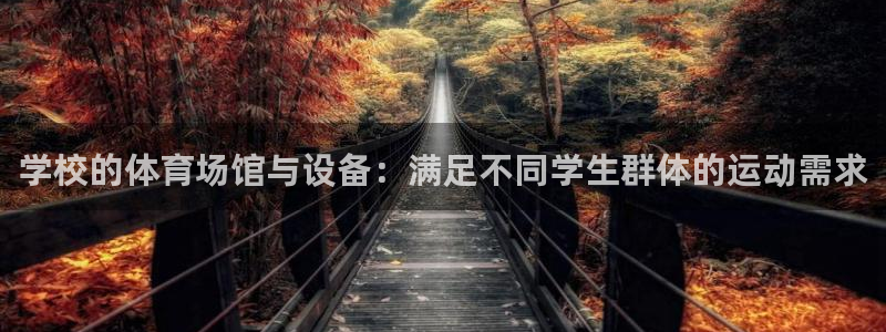 意昂体育4平台注册要钱吗是真的吗：学校的体育场馆与设