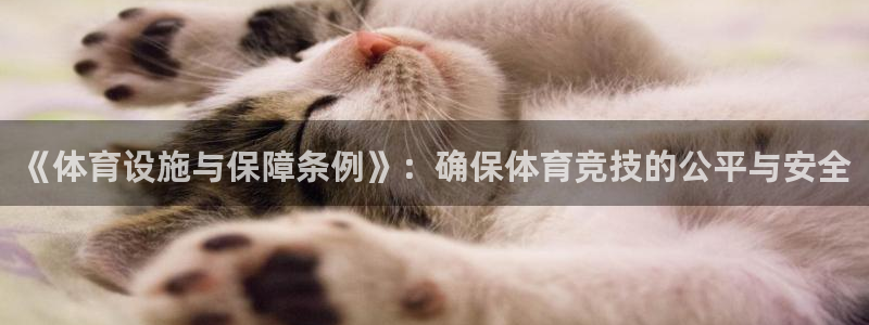 意昂体育4平台注册流程视频：《体育设施与保障条例》：确保体育