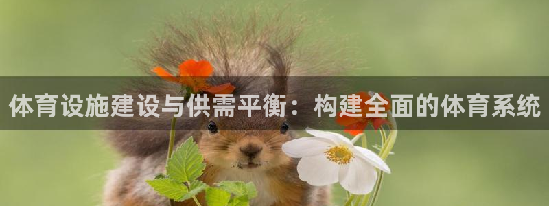 意昂体育4平台注册要钱吗是真的吗：体育设施建设与供需平衡：构 