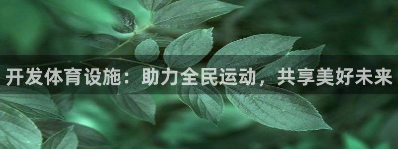 意昂4娱乐首页官网下载：开发体育设施：助力全民运动，共享美好