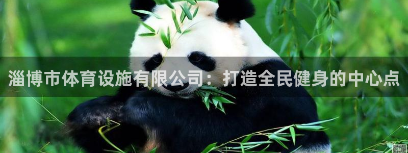 意昂体育4注册：淄博市体育设施有限公司：打造全民健身