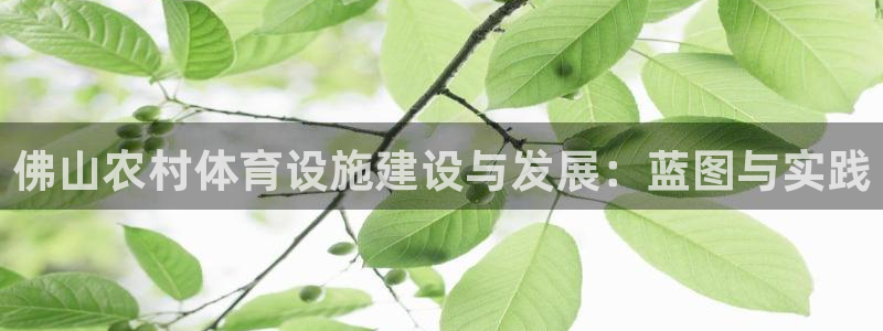 意昂体育4：佛山农村体育设施建设与发展：蓝图与实践
