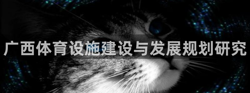 意昂体育4注册：广西体育设施建设与发展规划研究