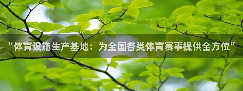 海南意昂体育4：“体育设施生产基地：为全国各类体育赛