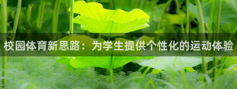 注册意昂4：校园体育新思路：为学生提供个性化的运动体