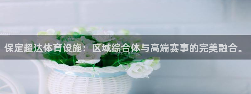 意昂体育4招商电话地址：保定超达体育设施：区域综合体