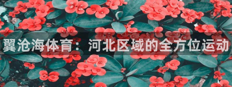 意昂体育4招商电话是多少：翼沧海体育：河北区域的全方