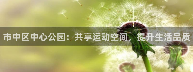 意昂体育4招商：市中区中心公园：共享运动空间，提升生