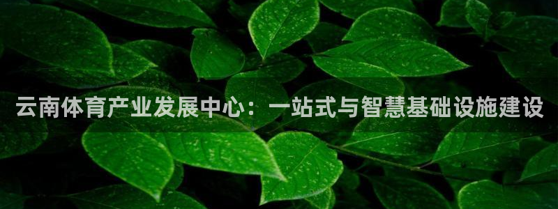 意昂体育4平台：云南体育产业发展中心：一站式与智慧基