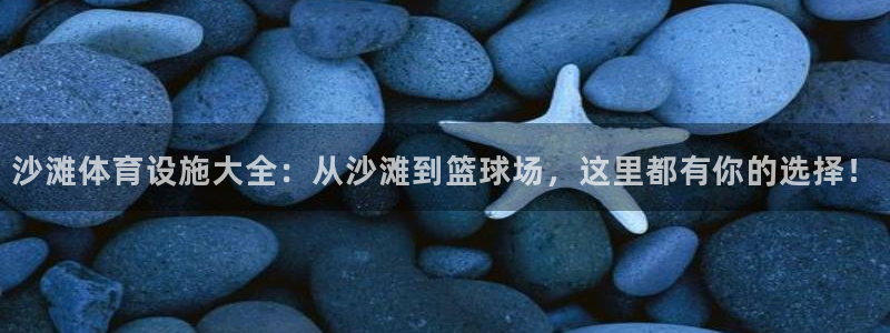 意昂体育4是干嘛的公司：沙滩体育设施大全：从沙滩到篮