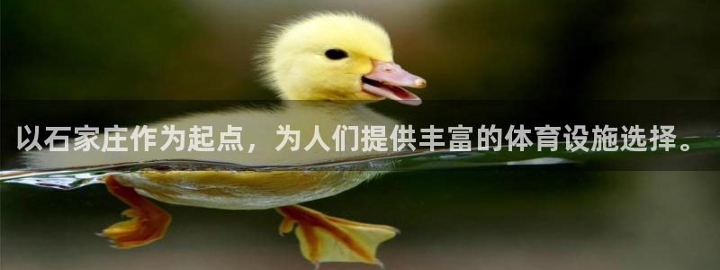 意昂4娱乐40996：以石家庄作为起点，为人们提供丰