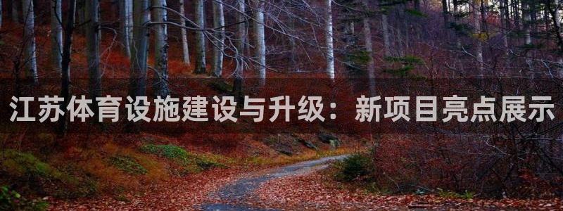 意昂4娱乐代理怎么样：江苏体育设施建设与升级：新项目亮点展示
