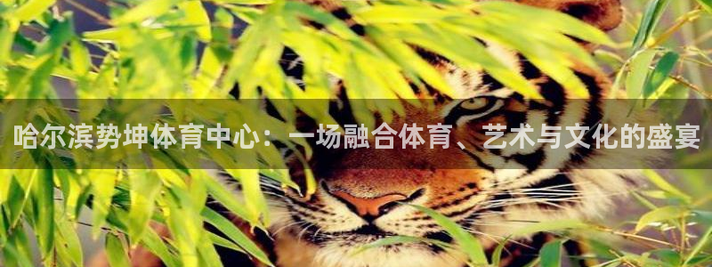 意昂4集团：哈尔滨势坤体育中心：一场融合体育、艺术与