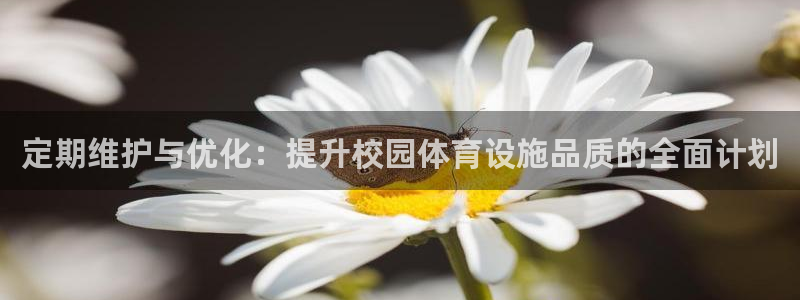 意昂体育4是干嘛的公司：定期维护与优化：提升校园体育设施品质