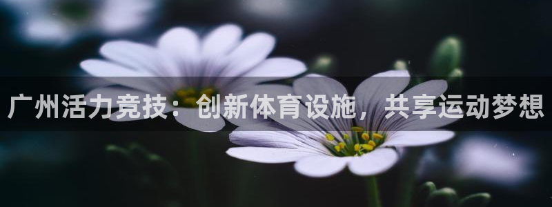 意昂4娱乐网站：广州活力竞技：创新体育设施，共享运动梦想
