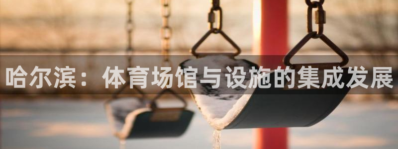 意昂4新能源：哈尔滨：体育场馆与设施的集成发展