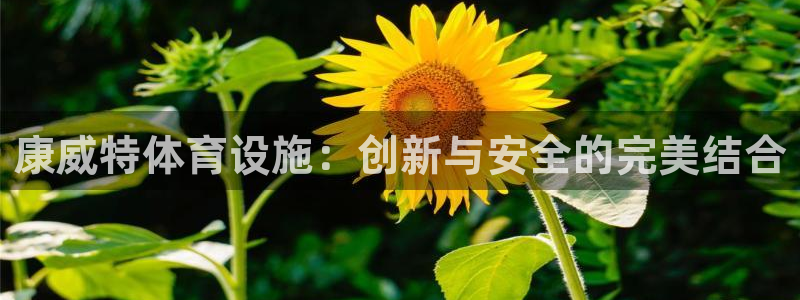 海南意昂体育4：康威特体育设施：创新与安全的完美结合