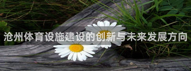 意昂平台体育：沧州体育设施建设的创新与未来发展方向