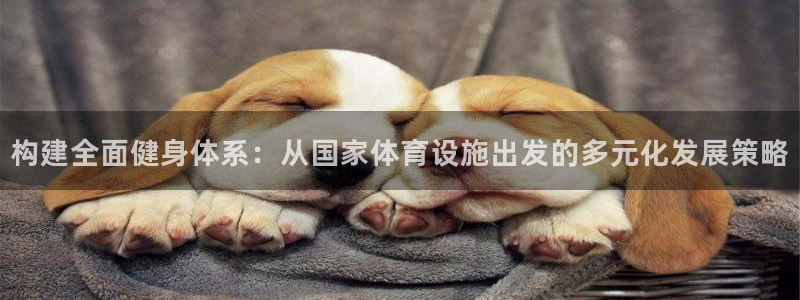 意昂4娱乐：构建全面健身体系：从国家体育设施出发的多