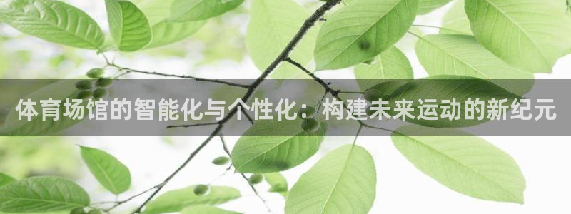 意昂体育4平台假的吗是真的吗吗：体育场馆的智能化与个