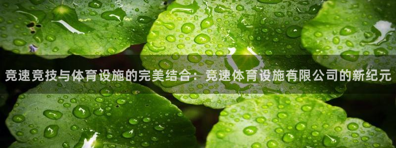 意昂体育4平台注册流程图：竞速竞技与体育设施的完美结合：竞速