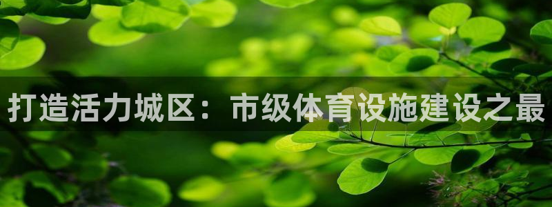 意昂体育4招商电话号码查询：打造活力城区：市级体育设施建设之
