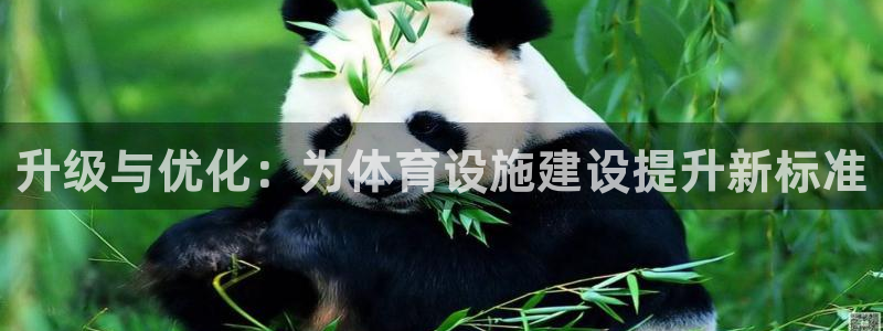 意昂体育4平台是正规平台吗：升级与优化：为体育设施建设提升新