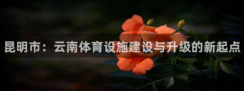 意昂体育4平台：昆明市：云南体育设施建设与升级的新起点