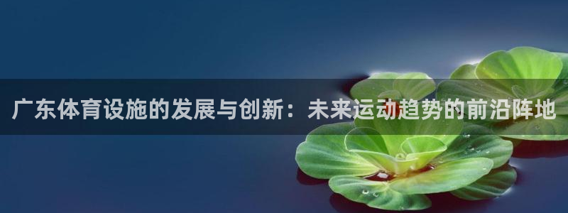 意昂体育4招商电话是多少：广东体育设施的发展与创新：未来运动