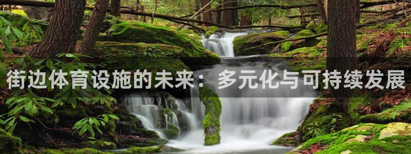 意昂体育4平台：街边体育设施的未来：多元化与可持续发展