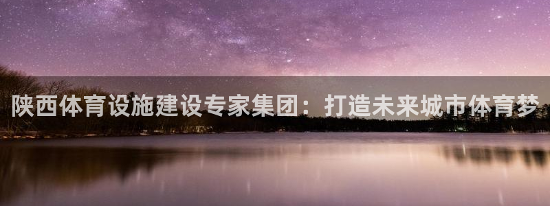 意昂体育4平台：陕西体育设施建设专家集团：打造未来城市体育梦 