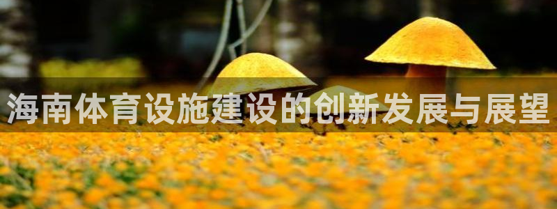 意昂体育4招商电话地址查询：海南体育设施建设的创新发展与展望