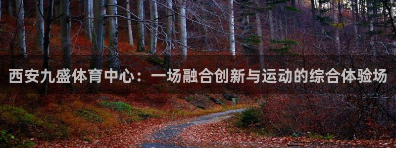意昂4代理：西安九盛体育中心：一场融合创新与运动的综