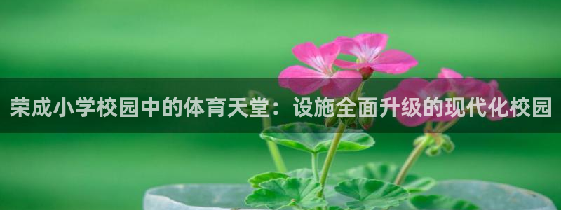 意昂4官网：荣成小学校园中的体育天堂：设施全面升级的现代化校