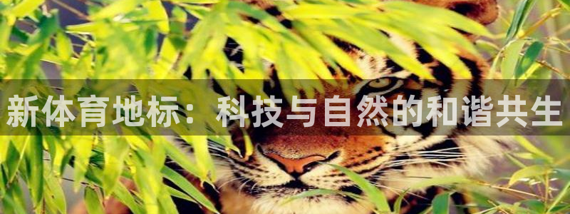 意昂体育4平台注册流程视频：新体育地标：科技与自然的
