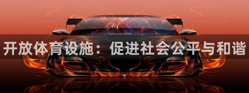 海南意昂体育4：开放体育设施：促进社会公平与和谐