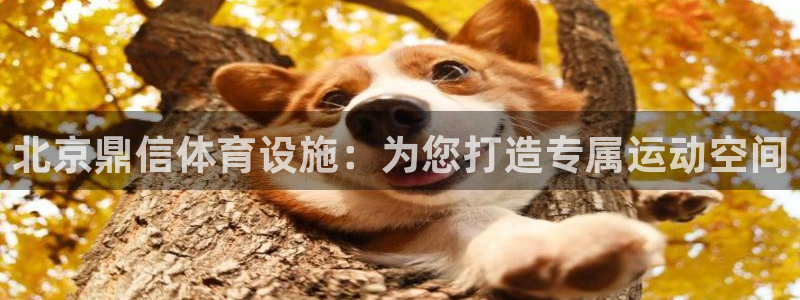 意昂体育4平台注册流程视频：北京鼎信体育设施：为您打