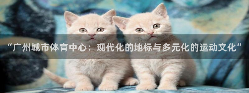 意昂体育4：“广州城市体育中心：现代化的地标与多元化