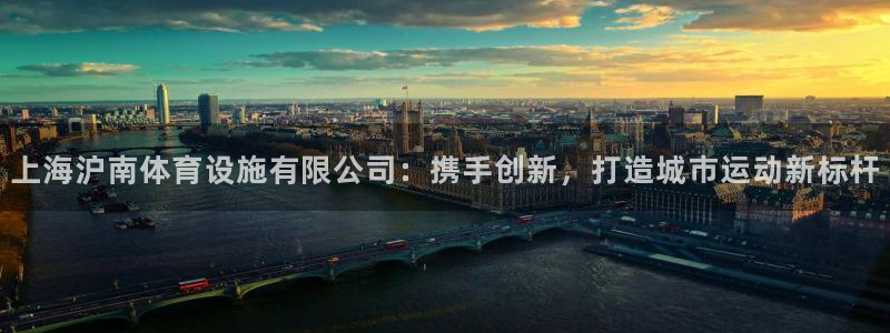 德国意昂4集团：上海沪南体育设施有限公司：携手创新，