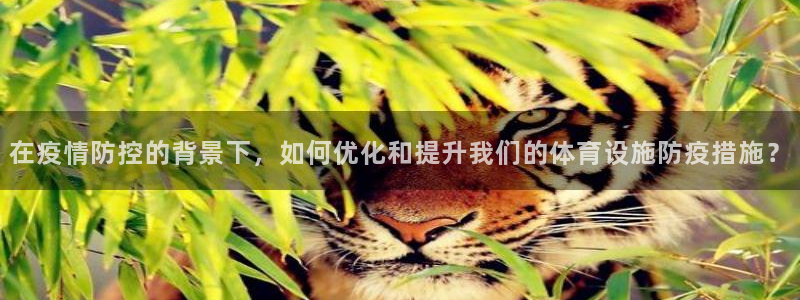 意昂4官网：在疫情防控的背景下，如何优化和提升我们的