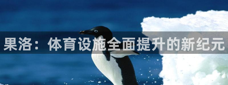 意昂体育4开户：果洛：体育设施全面提升的新纪元