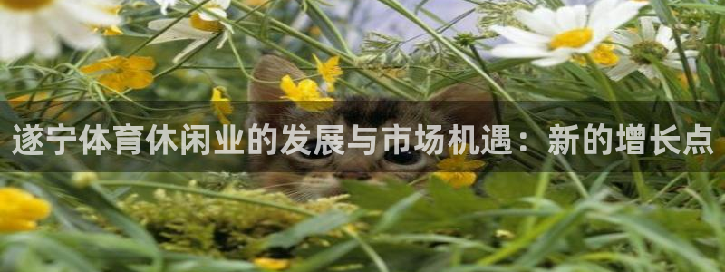 意昂体育4平台是正规平台吗安全吗：遂宁体育休闲业的发