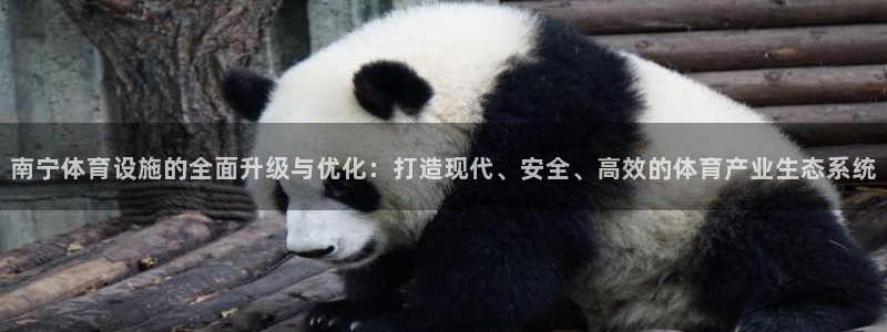 意昂体育4软件：南宁体育设施的全面升级与优化：打造现代、安全